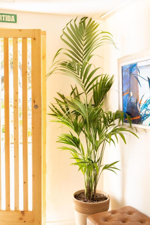 Sitges Beach Hostal エクステリア 写真